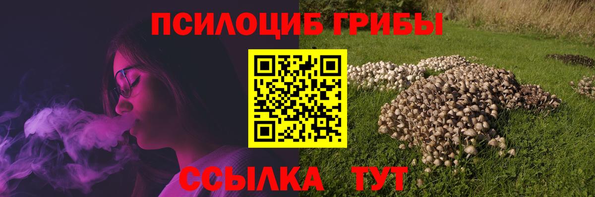 Богородск  Галлюциногенные грибы ЛСД  наркота  Вход с VPN 